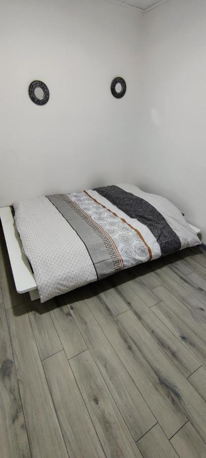 Apartment En Centre